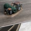stil-beatriche-tml-994-nero-zebrano-korichneviy7